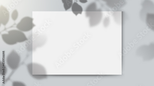shadow overlay background with leaves and empty paper