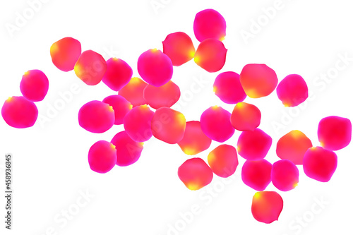 Coral color rose petals falling vector valentine background. Blowing showering flower bloom parts vector. Red pink rose petals spa background. Anniversary or natural cosmetics design.
