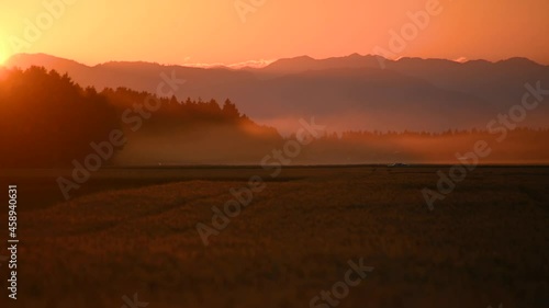 Wallpaper Mural Low angle, telephoto perspective of farming field in the foreground and mountains in the distance. Hot summer evening with visible mirage. Thin fog over the land. Countryside in Slovenia. Static shot Torontodigital.ca