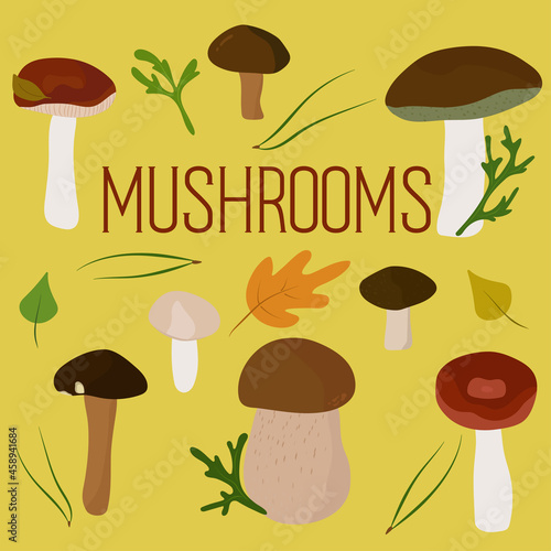 Mushroom set of vector illustrations on yellow. Russula, bay bolete, cep, penny bun, porcino, leccinellum, red-capped scaber stalk, honey fungus. Leaves, pine needles, moss. Cartoon style