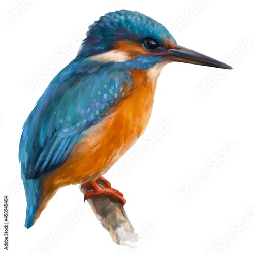 Kingfisher Bird © Mitart