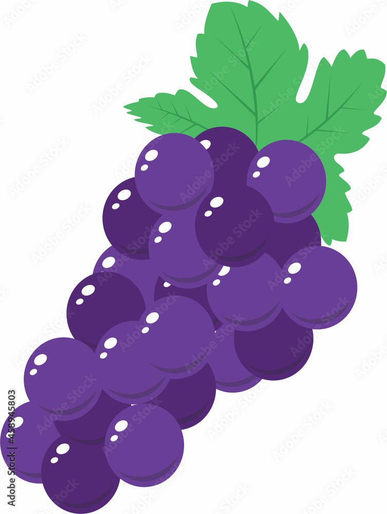 fresh grape fruit with leaf vector design fresh grape fruit with leaf vector design