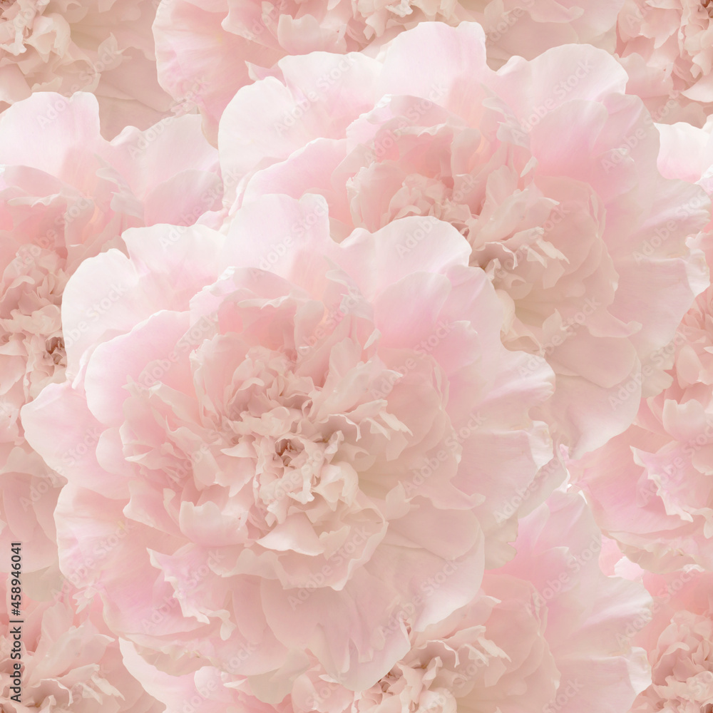 Floral seamless pattern with peony flowers