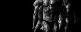 group athletes bodybuilders posing most muscular fitness competitions