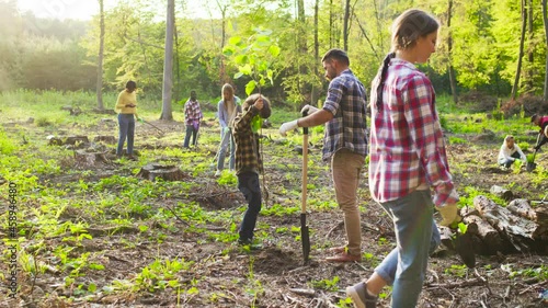 Family of father and son environmental volunteers planting trees together and with other people at the background. Reforestation concept