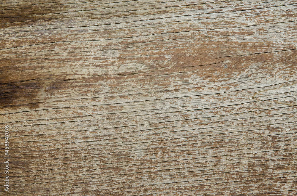 Fototapeta premium old wood texture background 