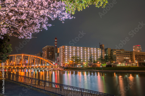紫川と鉄の橋夜景 photo
