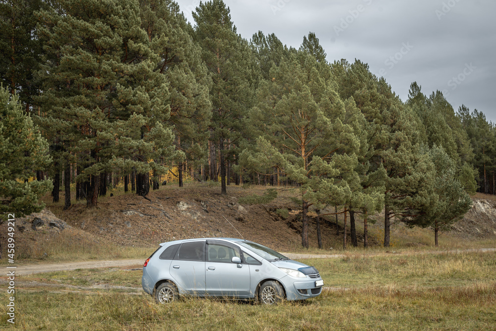 Car next to a quiet coniferous forest. Concept of travel, beautiful nature and autumn mood Car next to a quiet coniferous forest. Concept of travel, beautiful nature and autumn mood