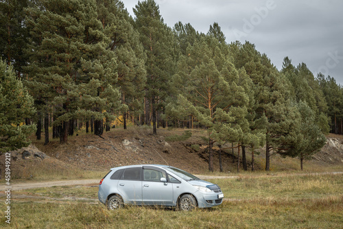 Car next to a quiet coniferous forest. Concept of travel, beautiful nature and autumn mood