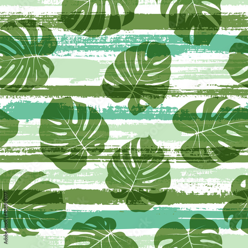 Decorative monstera philodendron liana hole