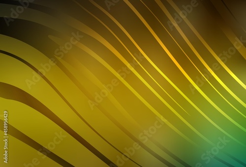 Dark Green, Yellow vector backdrop with curved lines.