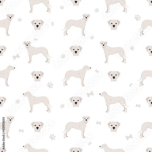 Dogo Argentino seamless pattern. Different poses  coat colors set