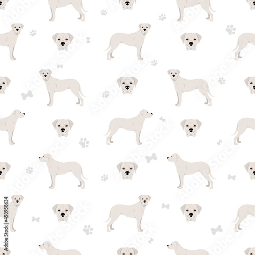 Dogo Argentino seamless pattern. Different poses, coat colors set