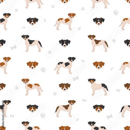Danish swedish farmdog seamless pattern. Different poses, coat colors set © a7880ss