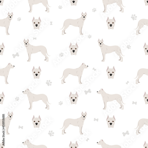 Dogo Argentino seamless pattern. Different poses, coat colors set
