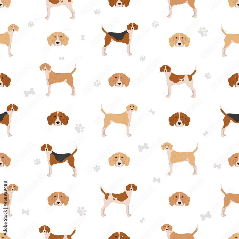 English foxhound seamless pattern. Different poses, coat colors set