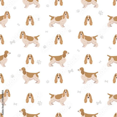 English cocker spaniel seamless pattern. Different poses, coat colors set