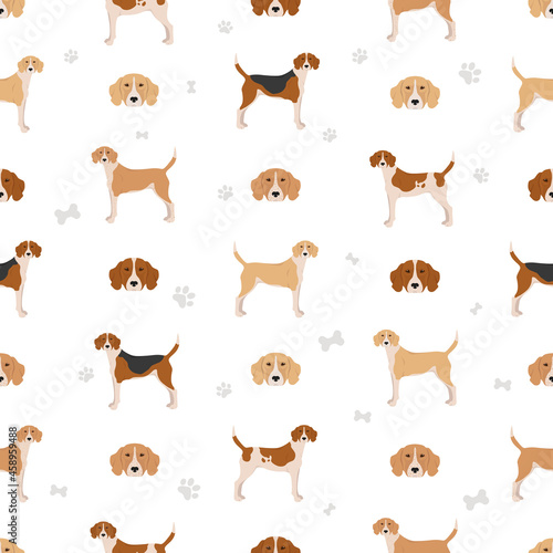 English foxhound seamless pattern. Different poses, coat colors set