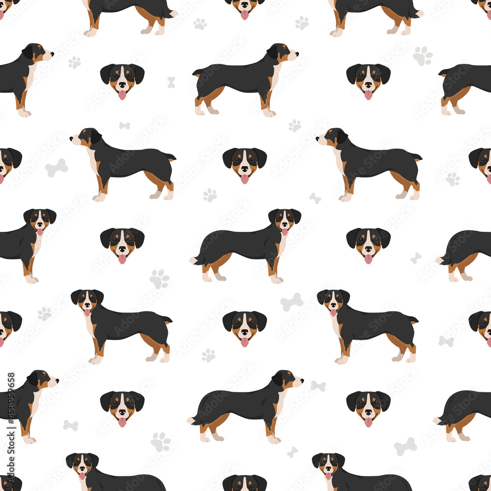 Entlebucher mountain dog seamless pattern. Different poses, coat colors set