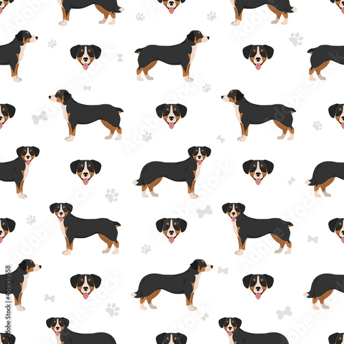 Entlebucher mountain dog seamless pattern. Different poses  coat colors set