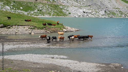 Lac de Sanetsch photo