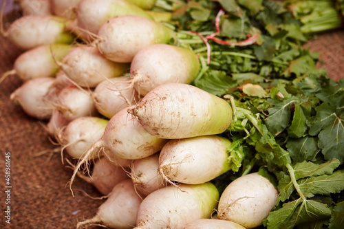 Kimchi ingredients, fresh organic radish 