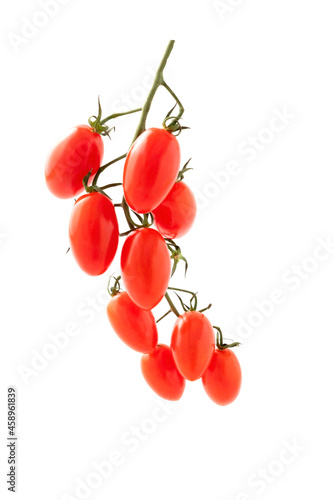 Cherry plum tomato twig isolated on white background