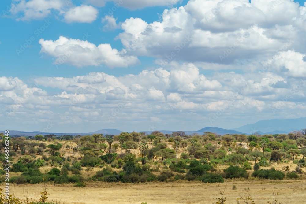 A magnificent view of Tarangire National Park in Tanzania with beautiful blue skies, clouds and trees