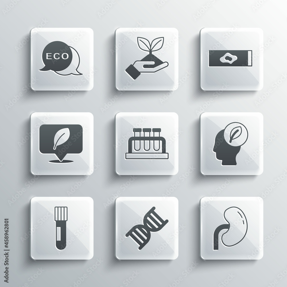 Set DNA symbol, Human kidney, head with leaf inside, Test tube and flask, Location, Label for eco healthy food and Blood test virus icon. Vector