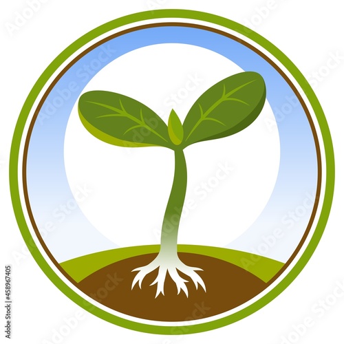 Pictogram with plant sprout with leaves and root in the ground. Vector illustration.
