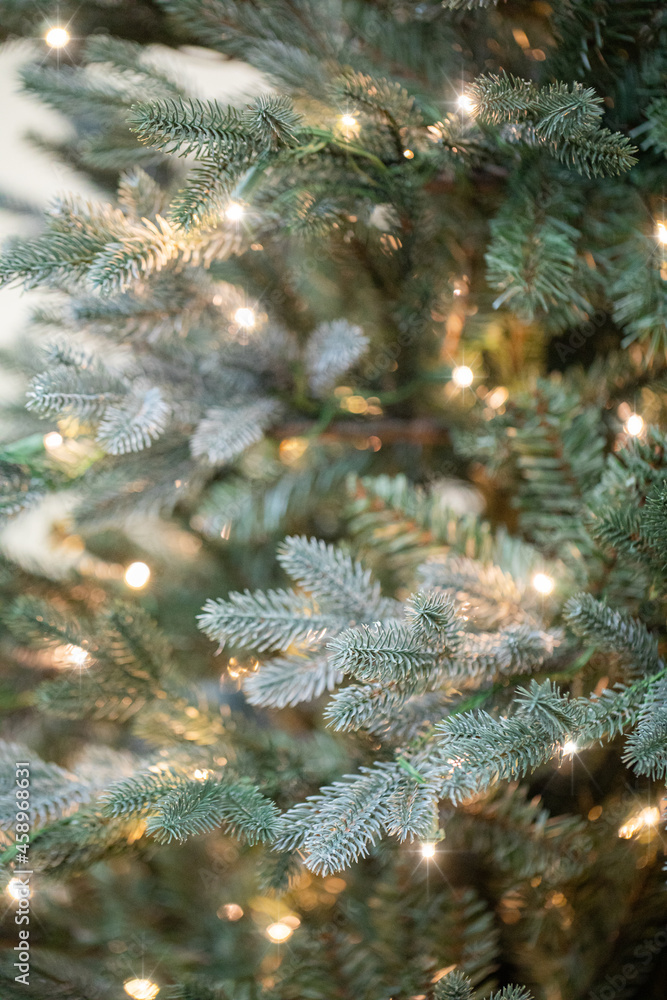 branches of a Christmas tree with garlands