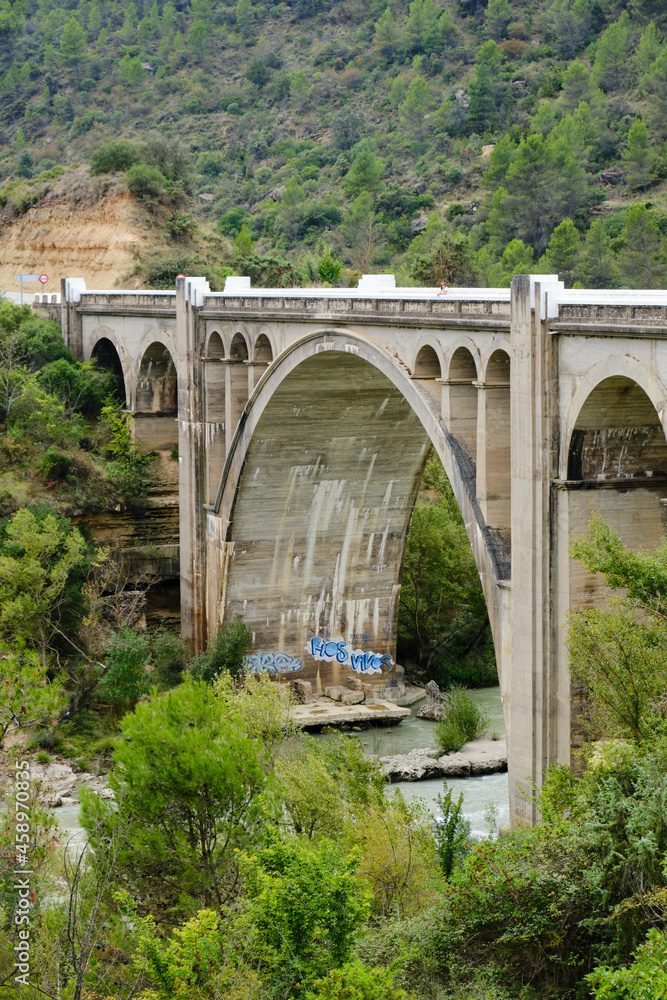 Fototapeta premium Bridge over the Gallego River, Murillo de Gallego Huesca Aragon