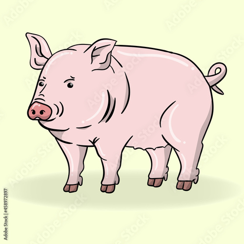 cartoon pig illustration and vector