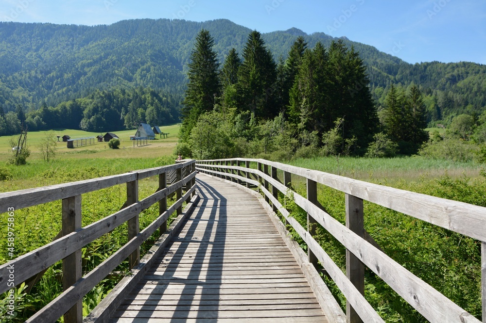 a wooden path through an overgrown wetland at the foot of the Alps