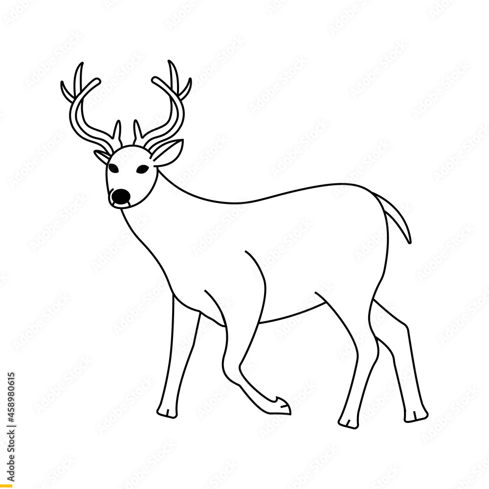 Deer Vector Art Graphics Template For Business And Company