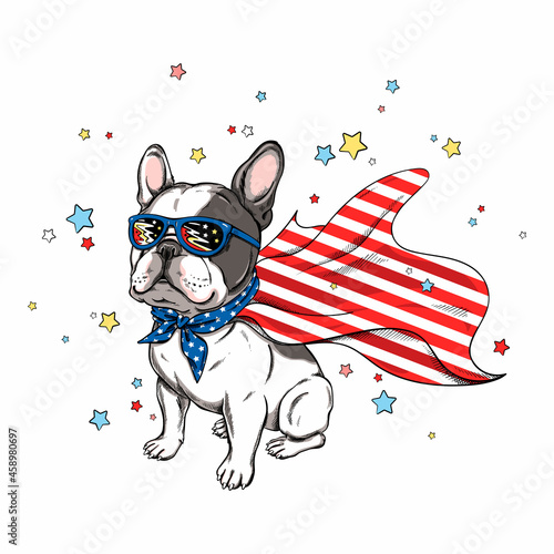 Cute french bulldog in superhero cape. Stylish image for printing on any surface	