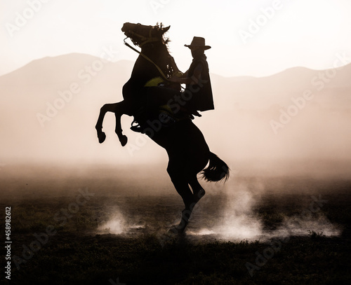 horse rearing with rider