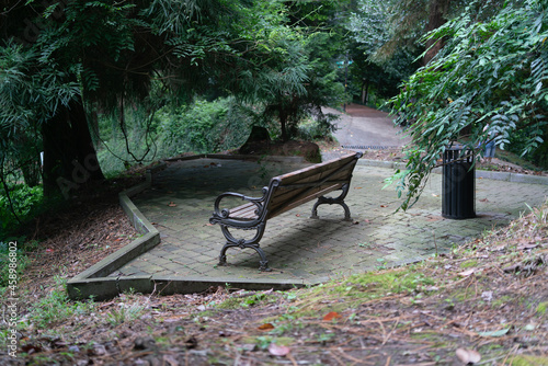 Old bench in the shade of large trees on a stone-paved path on a rainy cloudy day