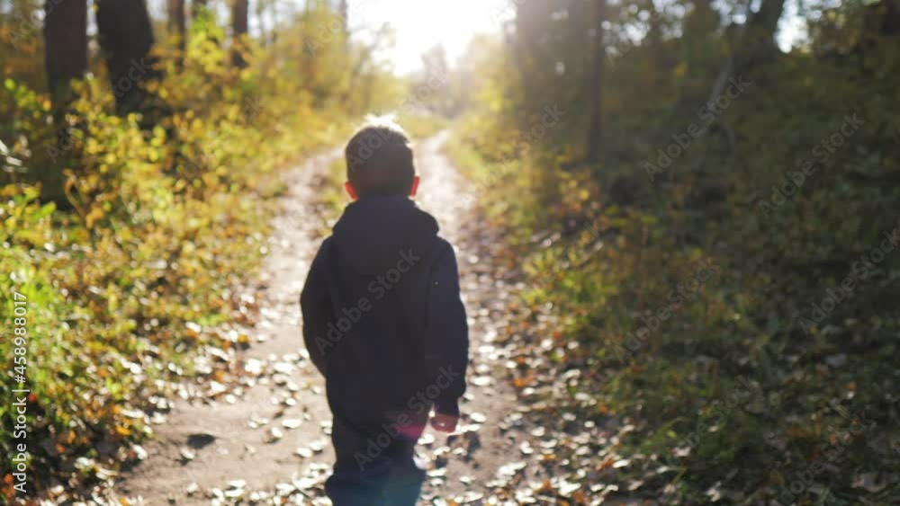Child running in the yellow leaves. Little boy run in autumn park, little child playing with old dry trees foliage, enjoying walk, beauty autumn season. Happy childhood concept. Child running in the yellow leaves. Little boy run in autumn park, little child playing with old dry trees foliage, enjoying walk, beauty autumn season. Happy childhood concept.