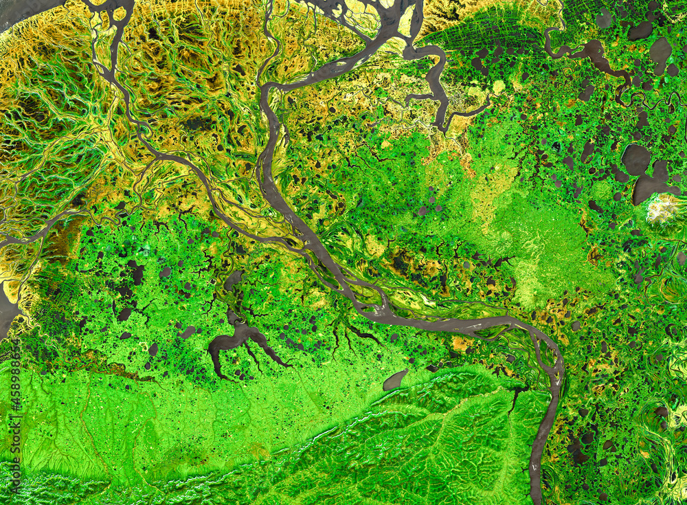 Nature pattern on satellite photo, delta of tropical river. Aerial view. Elements of this image furnished by NASA. - obrazy, fototapety, plakaty 
