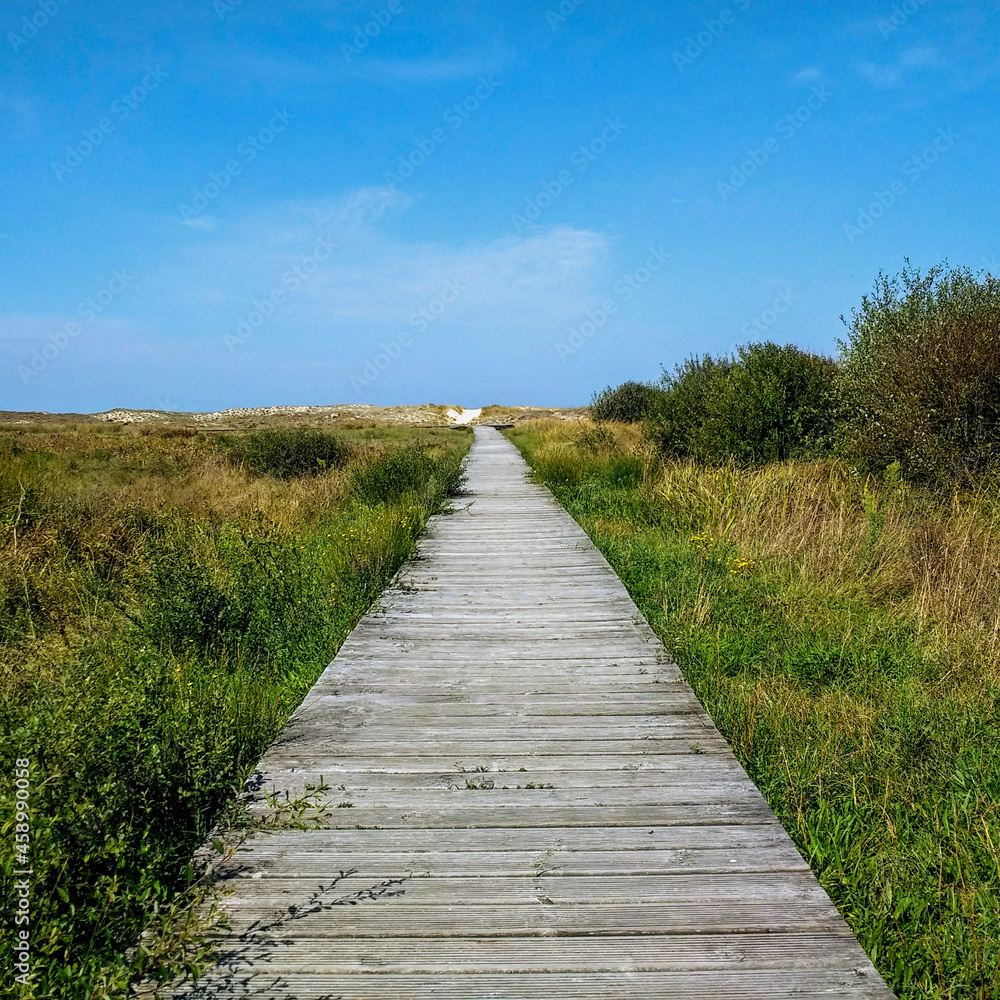wooden path on the beach, walkway in the sand