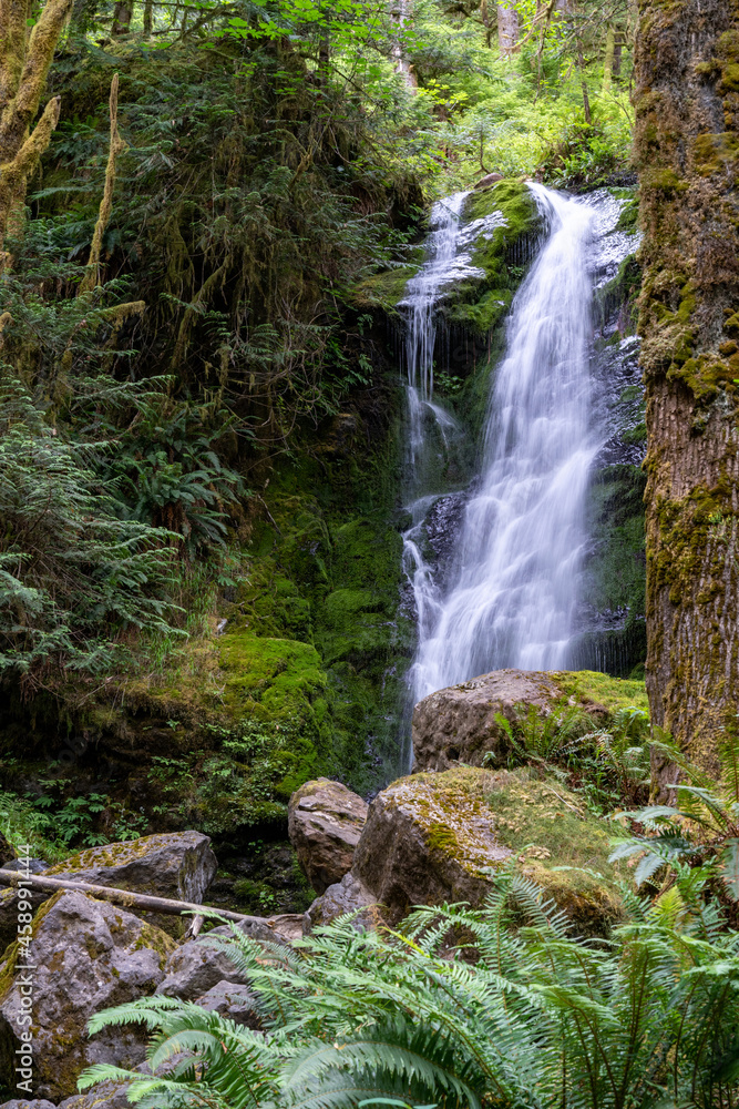 Merriman Falls waterfall, in a daytime long exposure, near Lake Quinault in Olympic National Park Merriman Falls waterfall, in a daytime long exposure, near Lake Quinault in Olympic National Park
