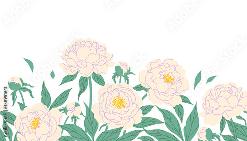Seamless Border  with White Peony Flowers