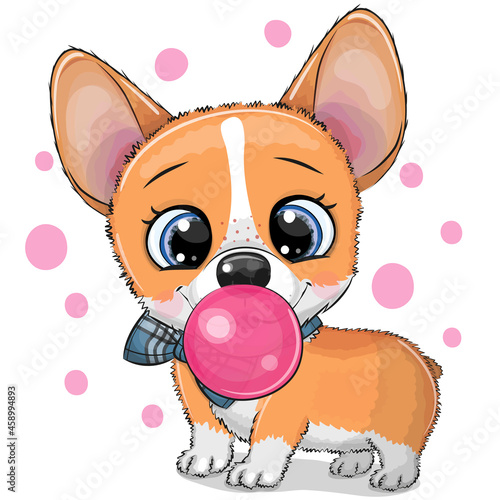 Corgi with a bow and bubble gum