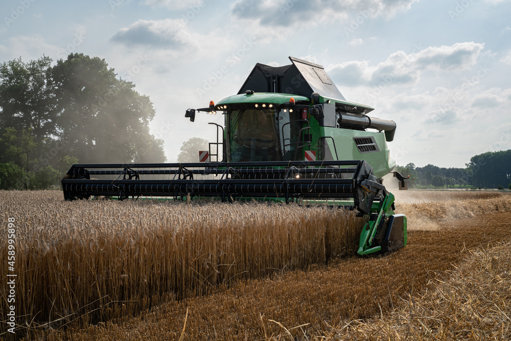 Fototapeta premium Agrarfoto - Getreideernte. Moderner Mähdrescher auf dem Feld im Ernteeinsatz. 