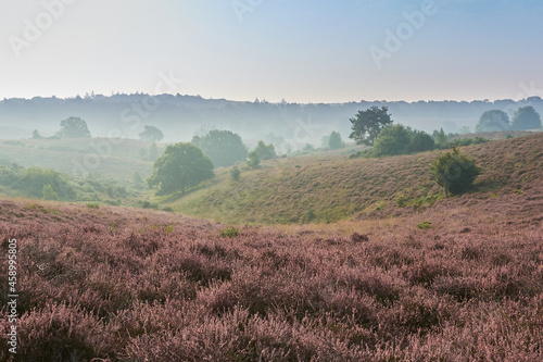 Mists over hills of heather