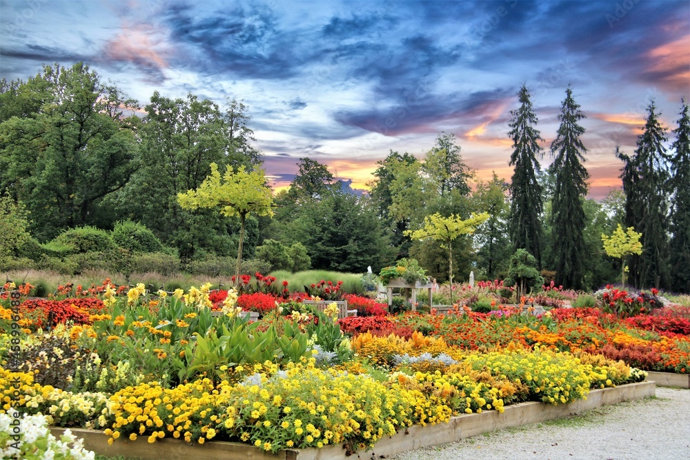 Obraz premium spring in the park
