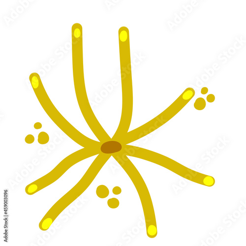 Microalgae. Aquatic organisms and bacteria. Green phytoplankton. Flat illustration
