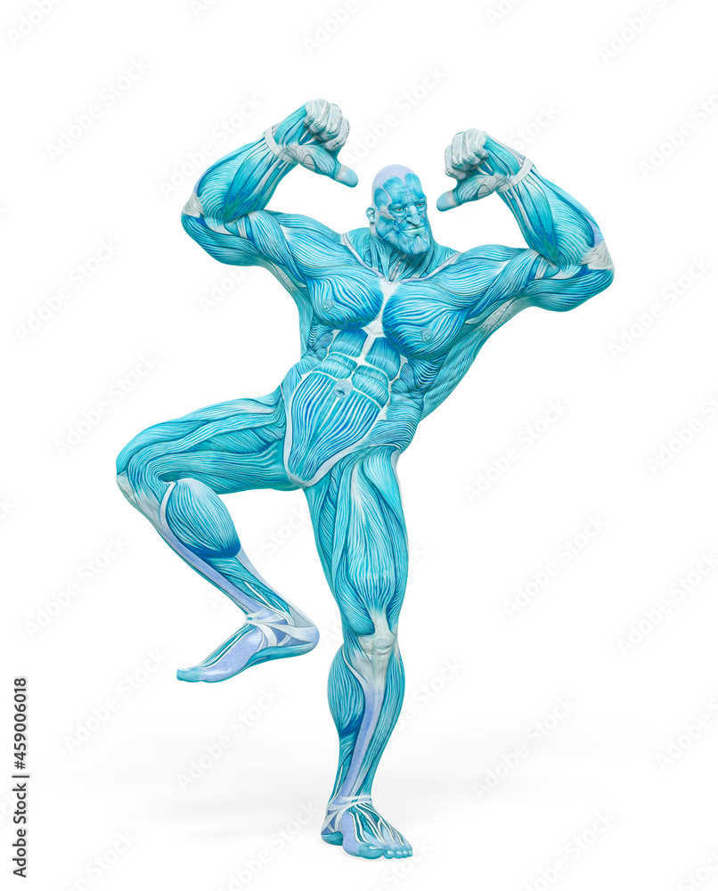 bodybuilder muscle maps is dancing in white background bodybuilder muscle maps is dancing in white background