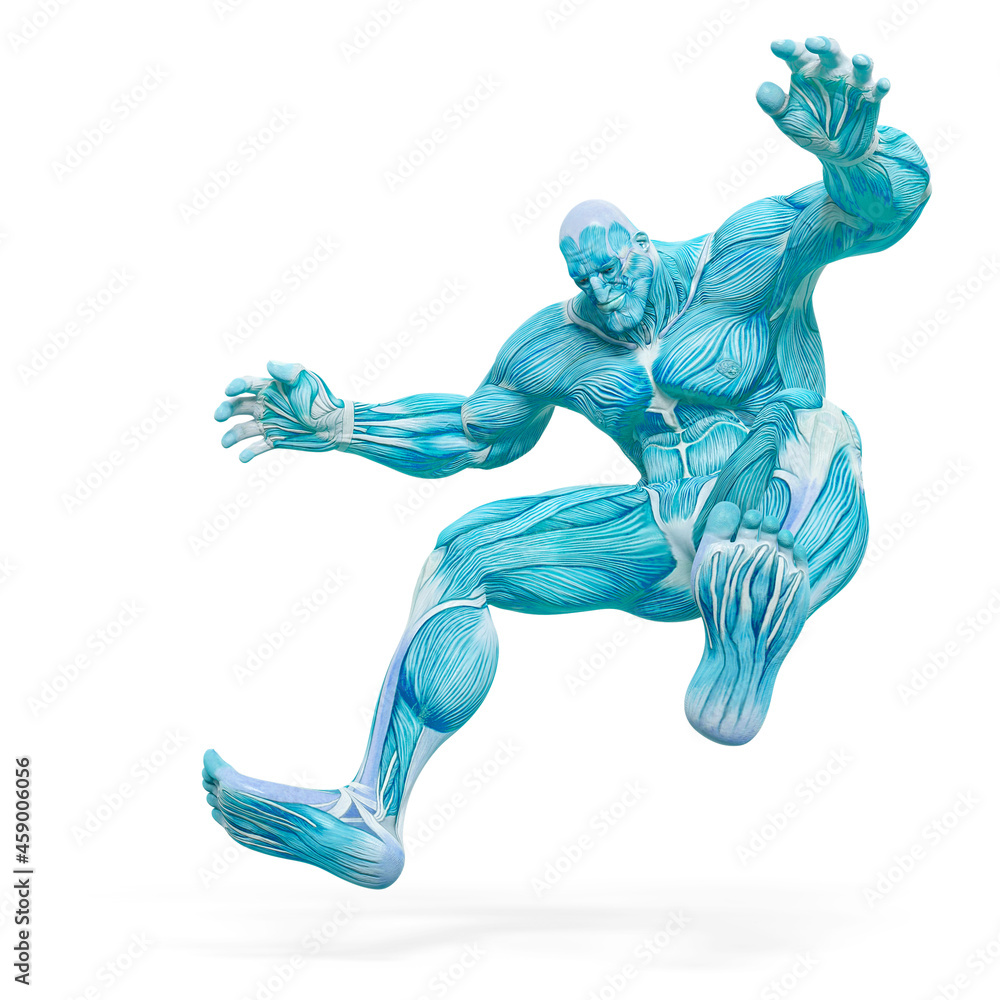 bodybuilder muscle maps is falling down in white background bodybuilder muscle maps is falling down in white background